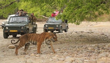 Nainital corbett Tour