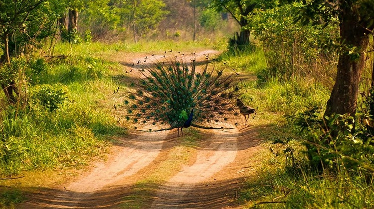 uttarakhand tourism